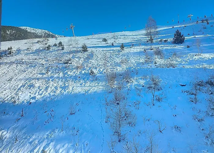 1650 - Mountain View - Snow Front 2s05 Appartement *